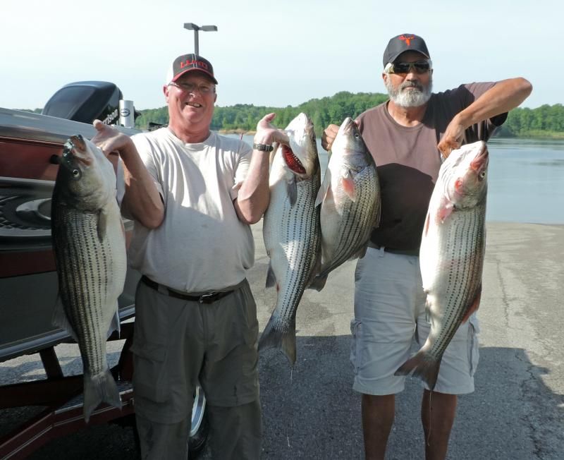 Circle Hooks Striped Bass Fishing Forums Forum